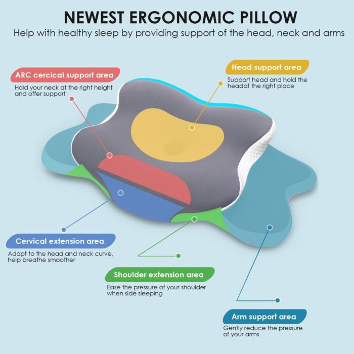 Delyoly Neck Pillow Memory Foam Pillow, 2 in 1 Cervical Pillow for Neck Pain Relief, Ergonomic Neck Support Pillows for Side Back Stomach Sleepers with Comfortable and Breathable Pillowcase - Image 3